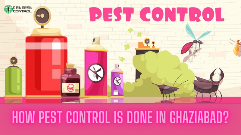 How Pest Control is Done in Ghaziabad?