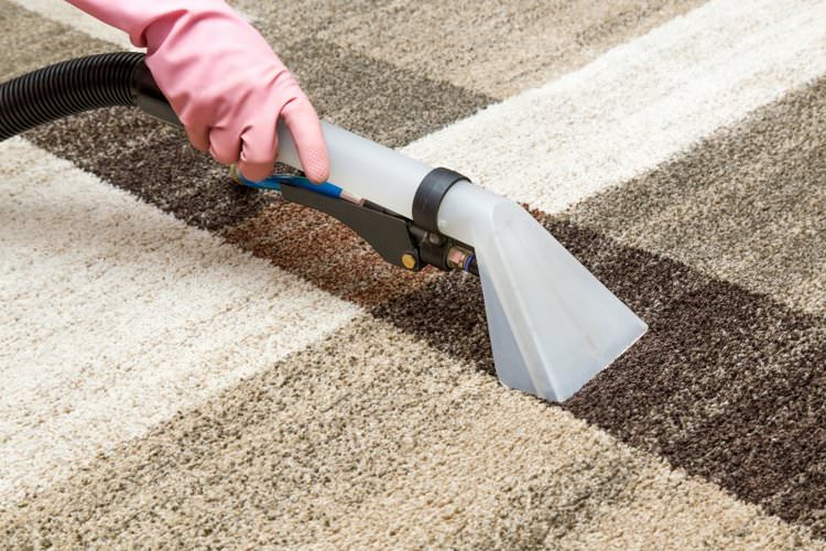How to Maintain Carpets and Rugs on a Daily Basis?